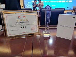 信息工程學(xué)院在華為云軟件DevCloud開(kāi)發(fā)大賽中勇奪冠軍