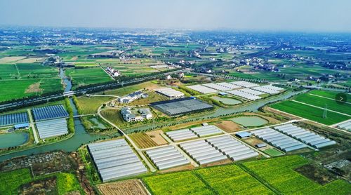 十年耕耘，有機新生 地產商轉型，用豆漿澆灌出健康瓜果與花卉