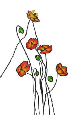簡(jiǎn)筆畫(huà)植物花卉系列 多彩多姿的虞美人