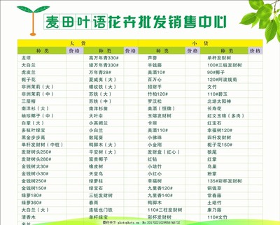 鮮花與花卉市場全品類價目表解析 從優惠到底價的選購攻略